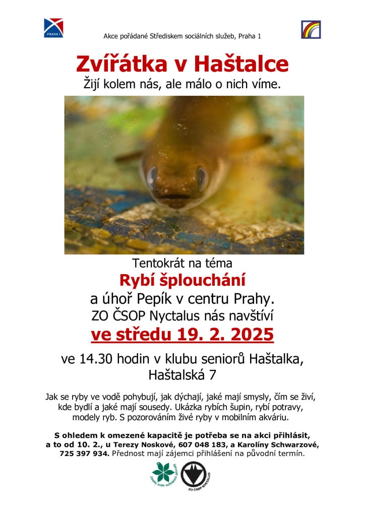 thumbnail of 19-02-2025 zvířátka – ryby